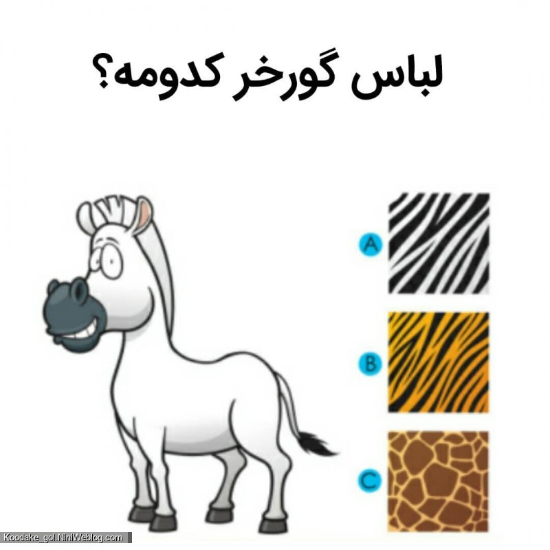 تست هوش 2 تا 4 سالگی - 3
