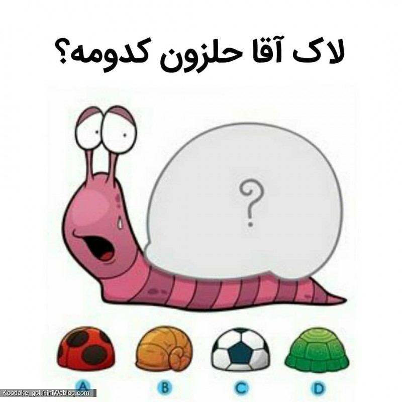 تست هوش 2 تا 4 سالگی - 5