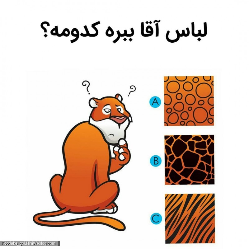 تست هوش 2 تا 4 سالگی - 6