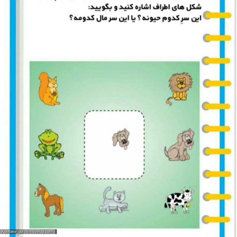 تست هوش 3 سالگی