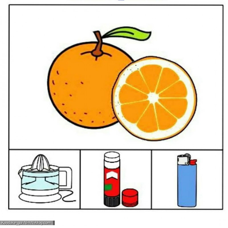 افزایش هوش منطقی - 2