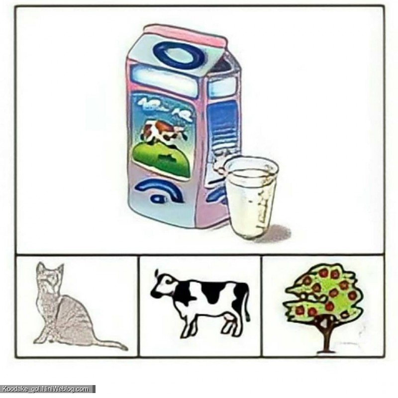 افزایش هوش منطقی - 3