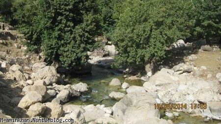 گشنگ بود مامان