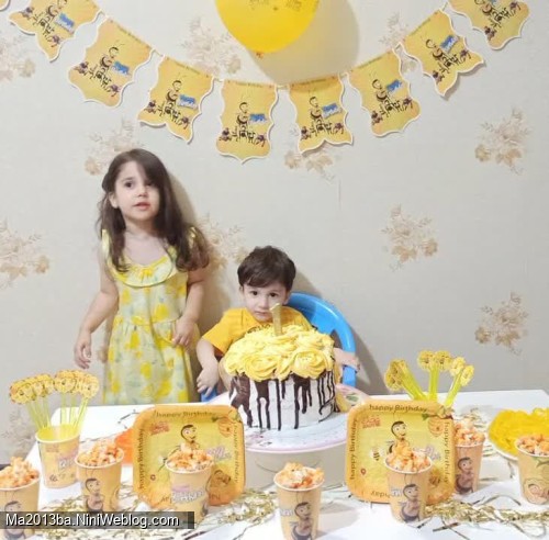 سید امیرمهدی مامان زادروزت همایون