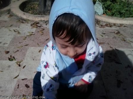برگ