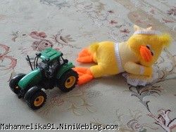 از طرف لیلا و ابراهیم