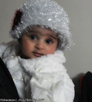 نازي نازو