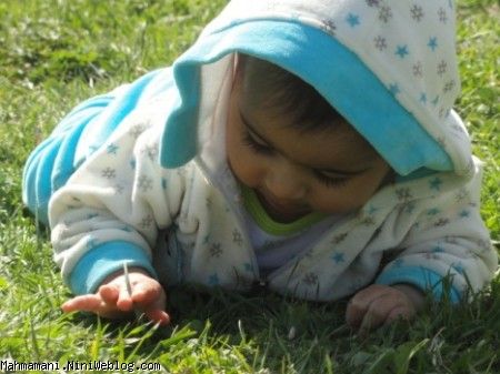 سبزه گره بزنم 