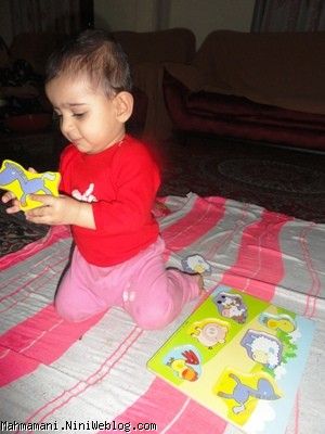 پازي 