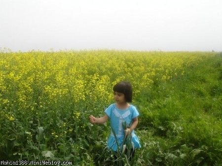 زمین زراعی