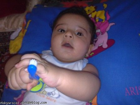 فدای دندونای نداشته ت که میخوای مسواکشون کنی