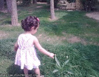 دانشگاه