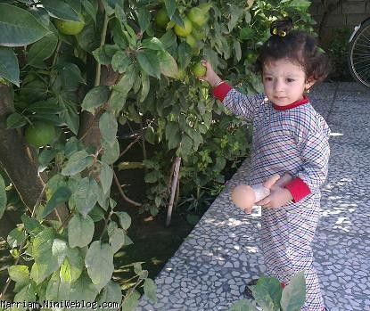 وای محیا مادرجون اومدها....