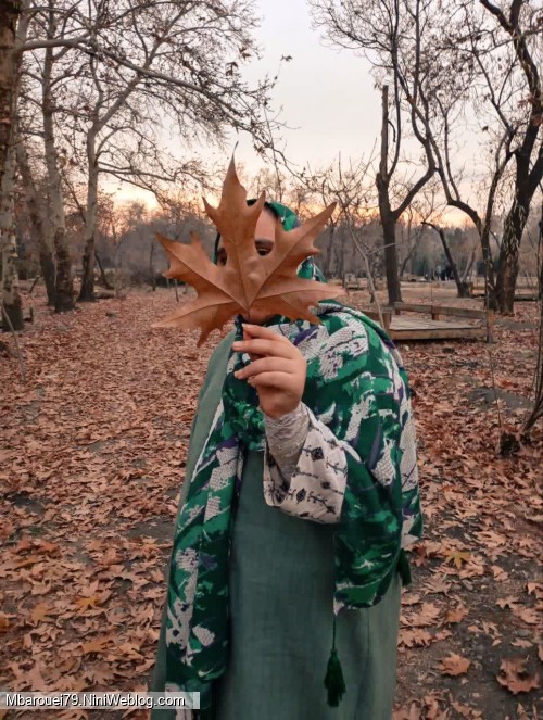 پاییز 1404 💛🍂