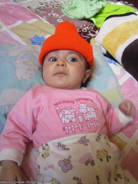 کلاشو نگاه کن