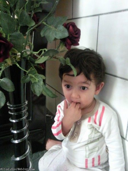 میلاد
