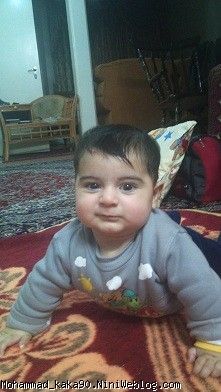 6 ماهگی