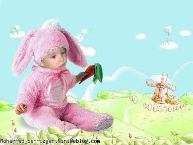 گوگولي خرگوشه