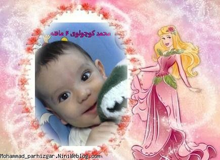 خيلي بلا