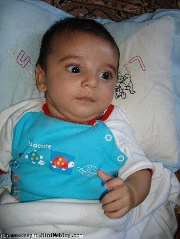 ابوالفضل جان