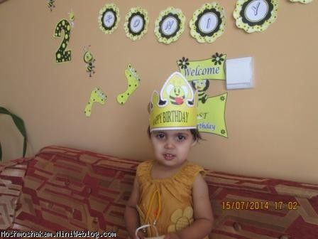 تولد 2 سالگی رونیای عزیز با تم زنبور