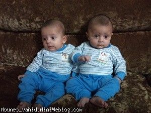 3 ماه و 11 روز 