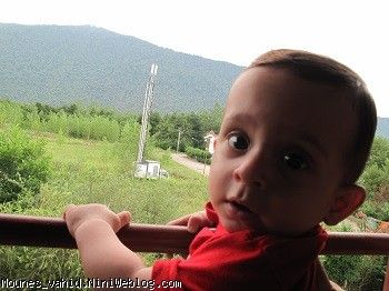 ایلیا