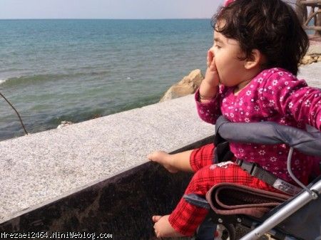 بوس برا خلیج فارس