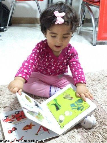 ساعتی پس از رسیدن به کنگان