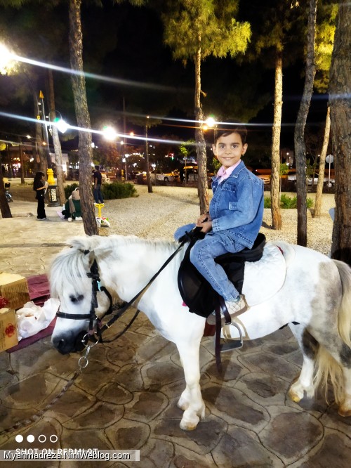 اسب سواری