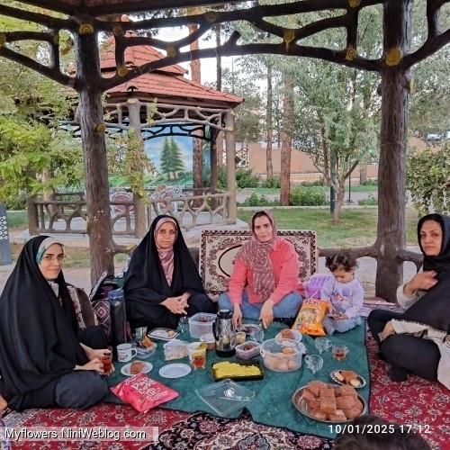 دور همی دوستانه