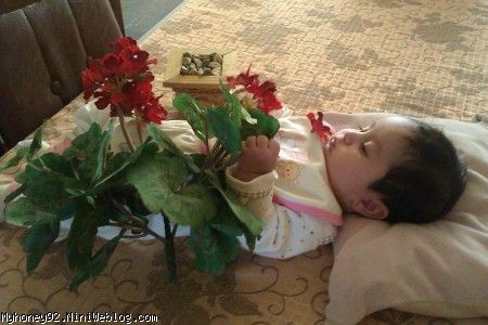 خرابکاری آیناز خانوم