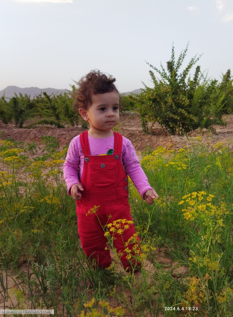 15 ماهگی