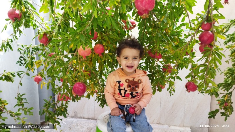 ۲۰ ماهگی