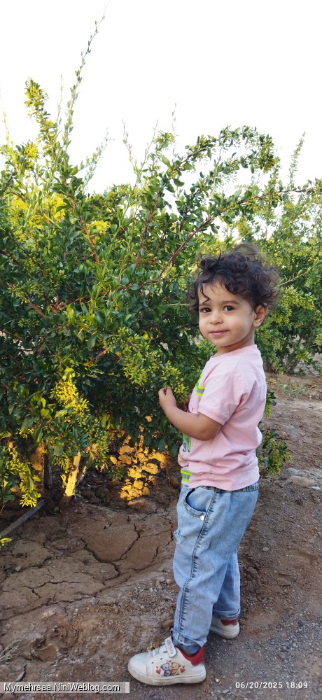 باغ بابا جون