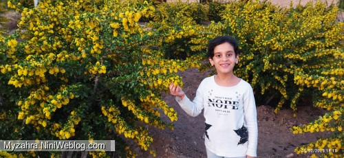 باغ بابا جون