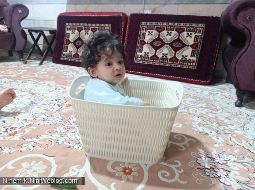 سبد کالا، نمخن؟!