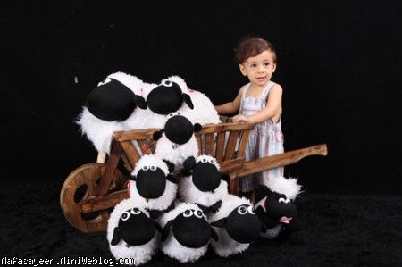 عكساي آتليه يكسالگي آيين