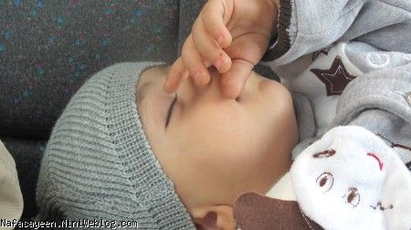 آيين آلوچه 
