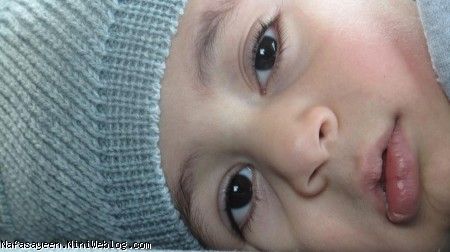آيين آلوچه 