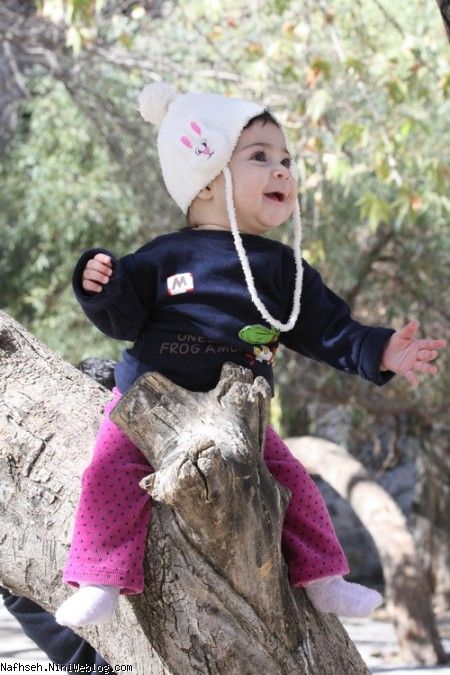 آواز باران