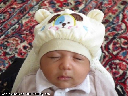 موش کوچولو