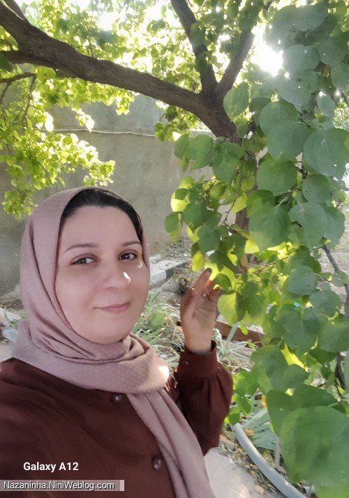 عکس هایی جامانده از ایام