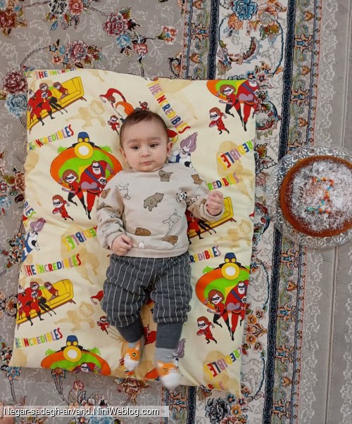 7 ماهگی گل پسرم