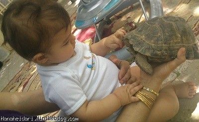 http://hanaheidari.niniweblog.com/