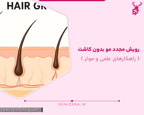 رویش مجدد مو بدون کاشت { راهکارهای علمی و موثر }