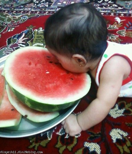 هندونه