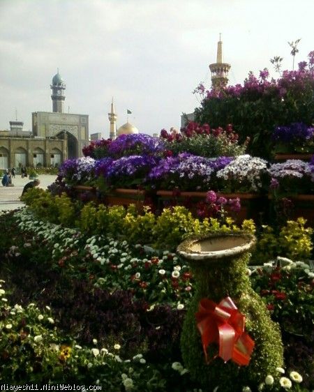 صحن