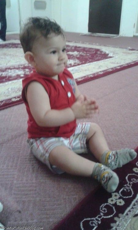 کادو