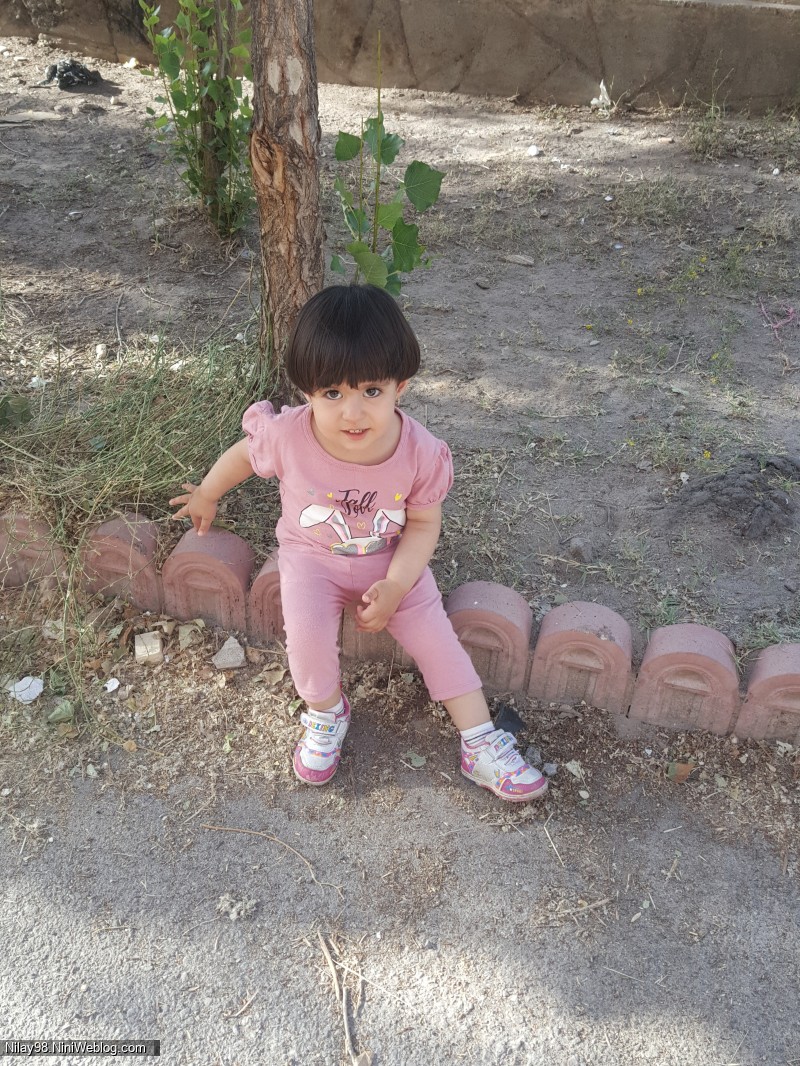 نیل آی در تیر ۱۴۰۰